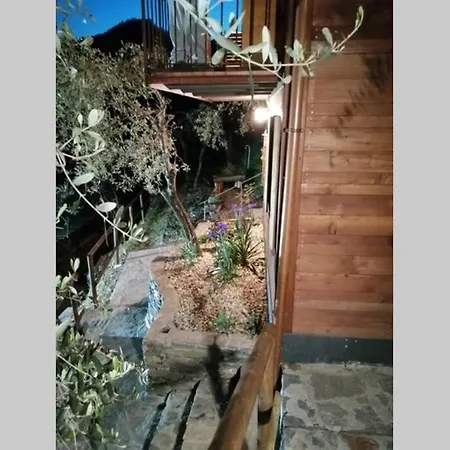 La Casetta Di Molly Tra Ulivi E Roseto Leivi Exterior photo