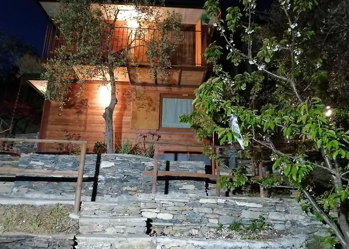 La Casetta Di Molly Tra Ulivi E Roseto