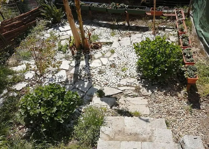 La Casetta Di Molly Tra Ulivi E Roseto
