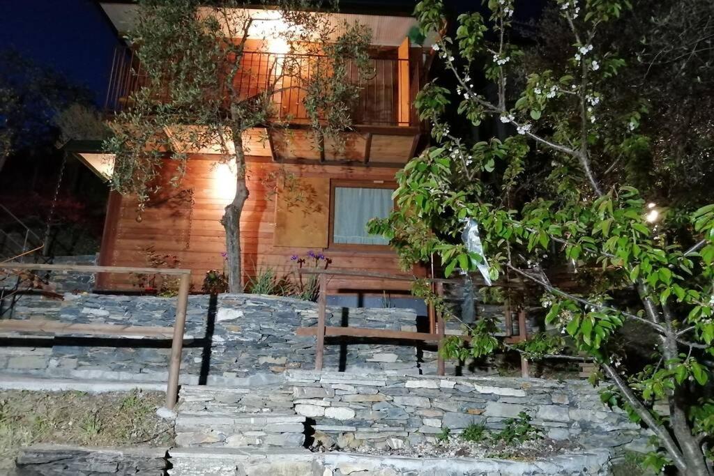 Holiday home La Casetta Di Molly Tra Ulivi E Roseto Leivi