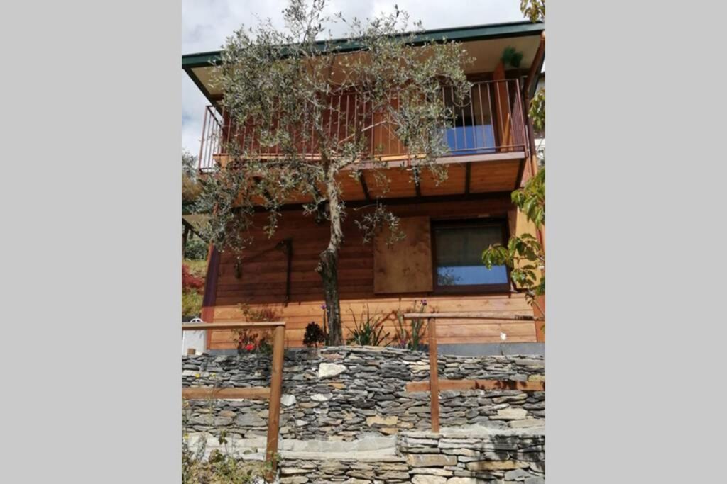 La Casetta Di Molly Tra Ulivi E Roseto Holiday home Leivi