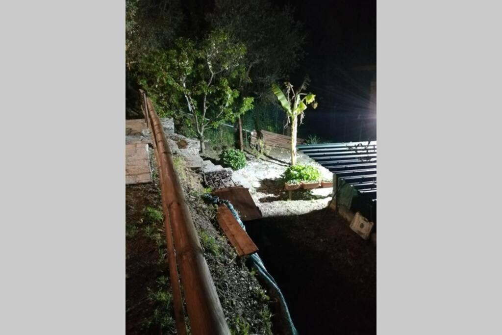 La Casetta Di Molly Tra Ulivi E Roseto