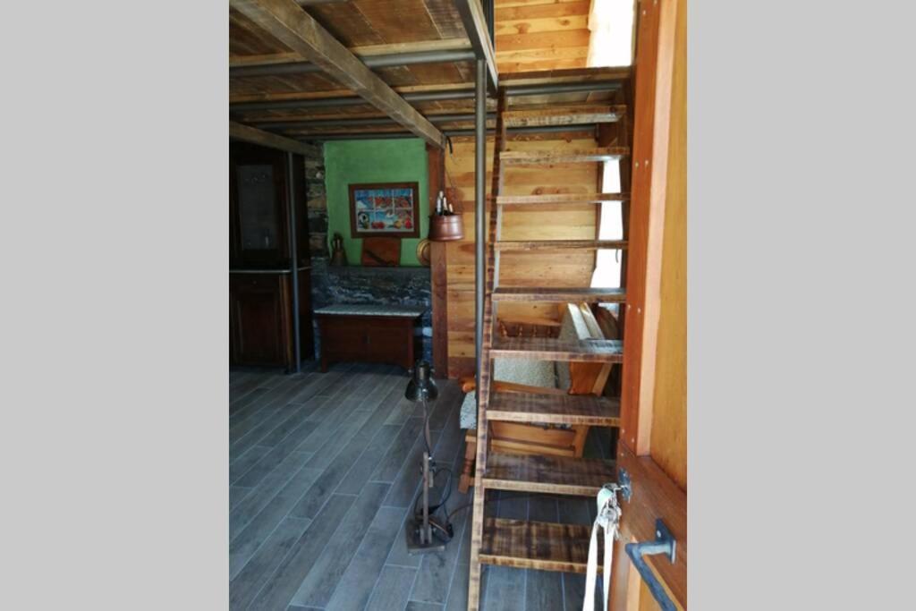 La Casetta Di Molly Tra Ulivi E Roseto Holiday home *
