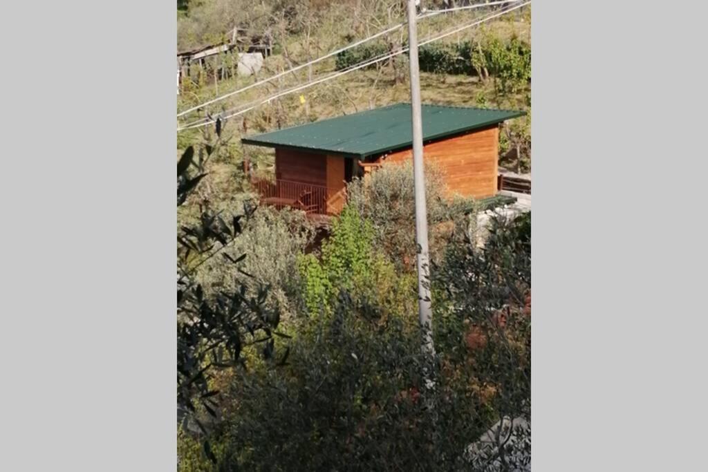 Holiday home La Casetta Di Molly Tra Ulivi E Roseto Leivi