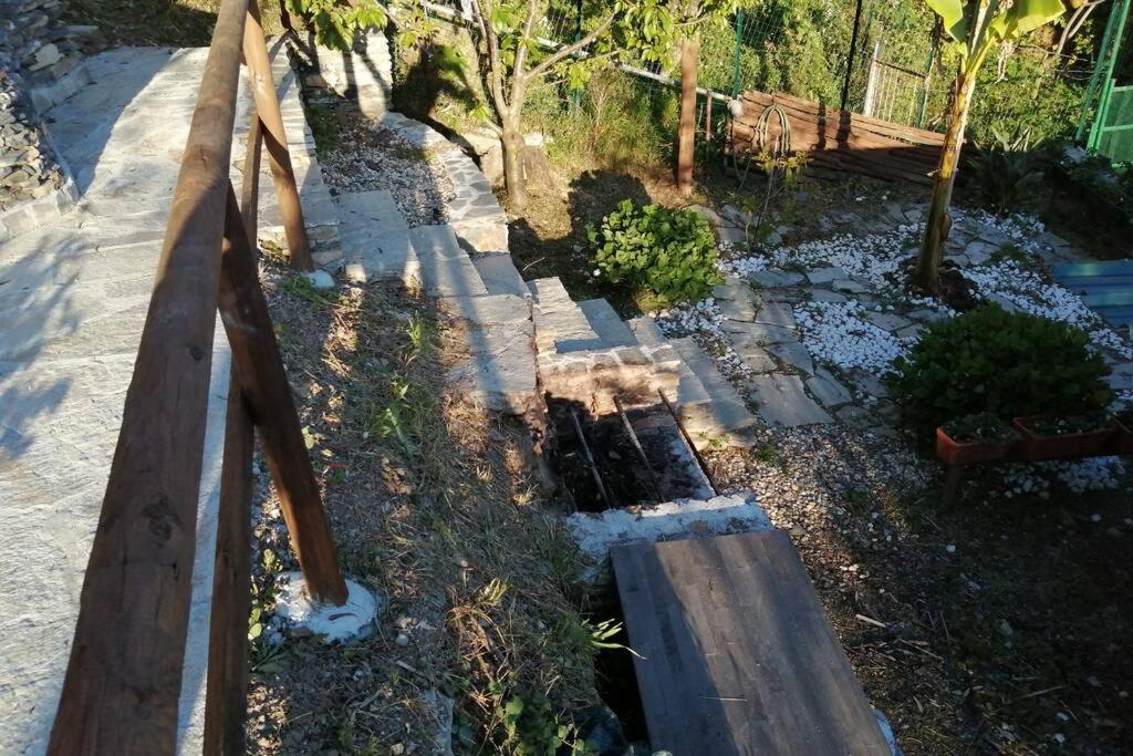 La Casetta Di Molly Tra Ulivi E Roseto * Leivi