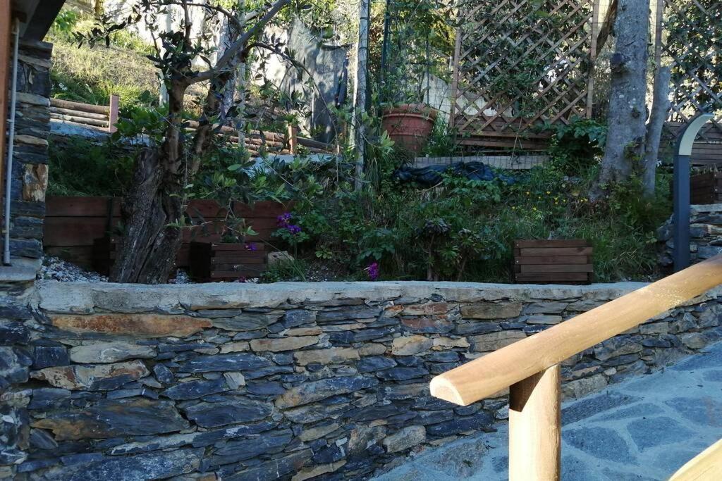La Casetta Di Molly Tra Ulivi E Roseto * Leivi